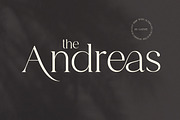 Andreas, a Serif Font by Gatype (Thumbnail 1 of 10)