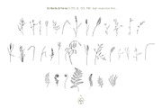 COTTAGECORE HERBARIUM, an Object Illustration by Kate Art (Thumbnail 4 of 22)