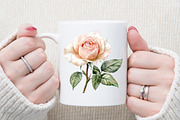 Watercolor Blush Florals Clipart Set, an Illustration by Sublimation Artist (Thumbnail 5 of 6)