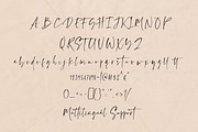 Ragland - Handwritten Font, a Script Font by Sronstudio (Thumbnail 15 of 15)