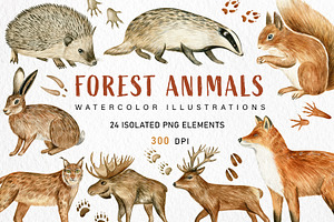 Watercolor Forest Animals Clipart