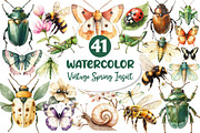 Vintage Spring Insect Clipart, an Illustration by Dream Creation (Thumbnail 1 of 7)