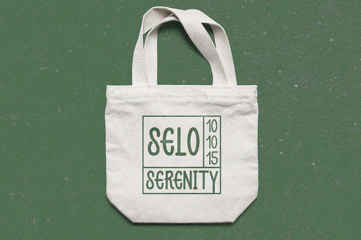 Chic Serenity - Serif Font Type, a Script Font by ArtiXLabs (Photo 6 of 11)