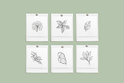Greenery Sketchbook Illustrations, a Decorative Illustration by Emma Webb Studio (Thumbnail 4 of 7)
