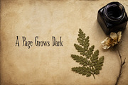 Spirebleed Gothic Botanical Font, a Serif Font by Graphic Spirit (Thumbnail 6 of 8)