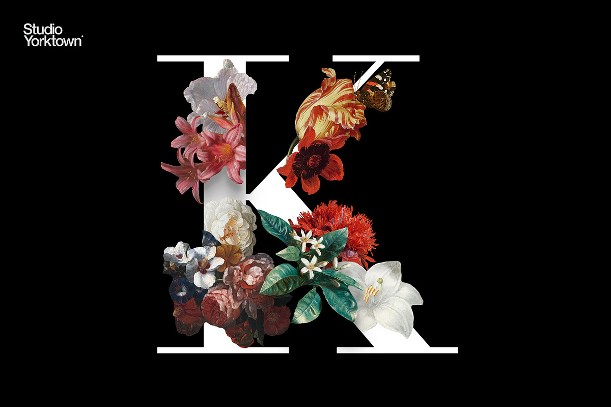 Kurohana Painted Florals Collection, an Illustration by Studio Yorktown (Photo 7 of 13)