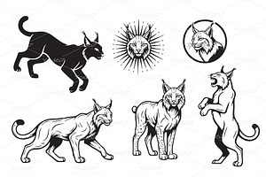 Lynx in dynamic poses. Wild Animals., an Animal Illustration by yod67