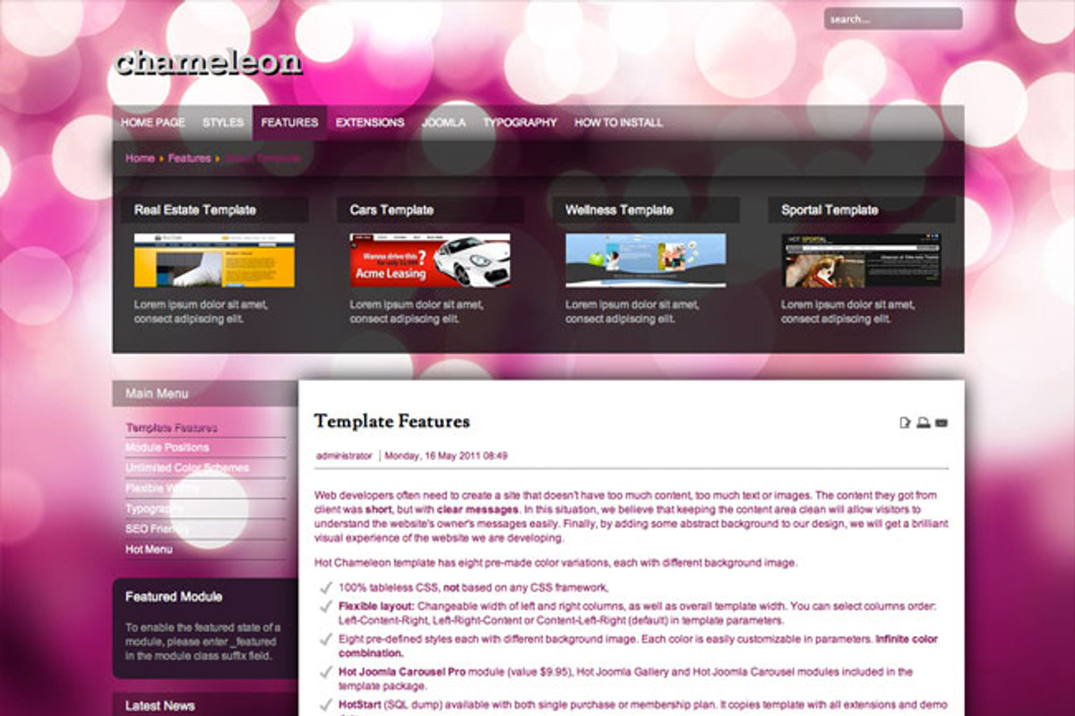 Hot Chameleon, a WordPress Template by hot-themes (Photo 5 of 5)
