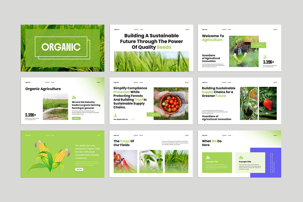 Agriculture Pitch Deck  Presentation, a Presentation Template by KreateTribe (Photo 6 of 6)
