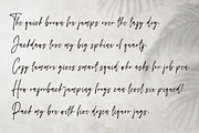 Lampard Signature, a Script Font by NJ Studio (Thumbnail 7 of 8)