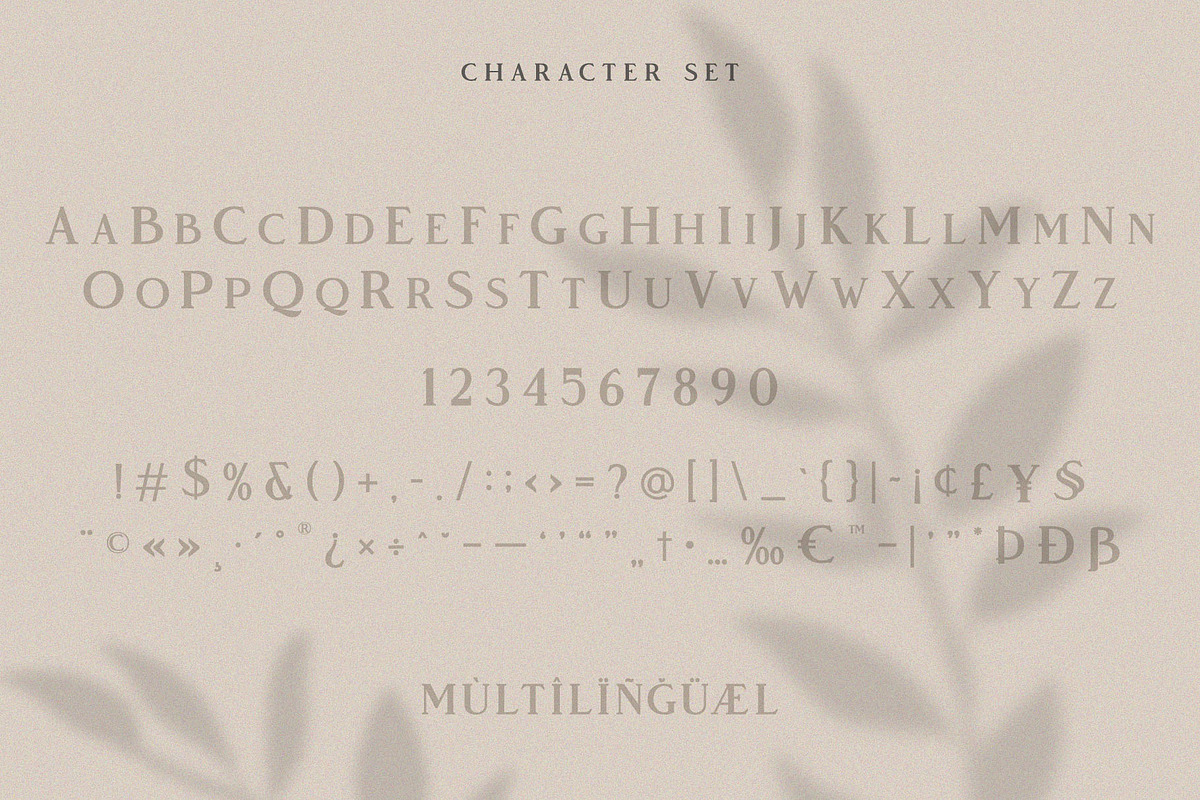 Vendeur - Elegant Serif Font preview 8