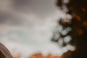 5 Film Professional Lr Presets, a Templates & Theme by ONE Click EDIT Collection (Thumbnail 6 of 9)