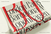 SLTF Rogue Rebellion - Ligature Font, a Serif Font by SilverStag Type Foundry (Thumbnail 13 of 30)