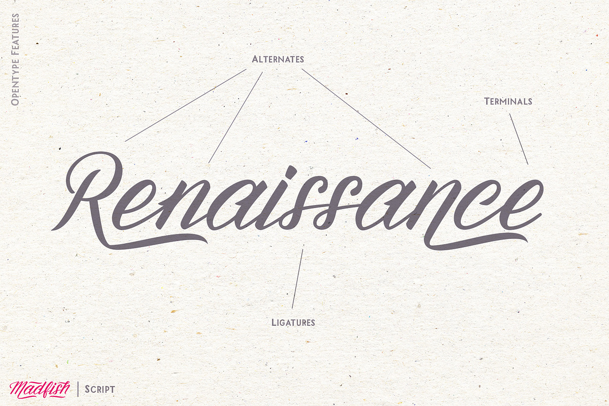 Madfish Font Family ++ EXTRAS preview 3