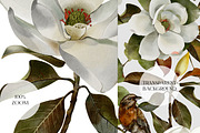 Watercolor Seamless Pattern, a Graphic by PROTEA Watercolor Studio (Thumbnail 7 of 12)