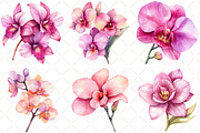 Watercolor Pink Orchid Clipart, an Illustration by Black Bird Studio (Thumbnail 5 of 5)