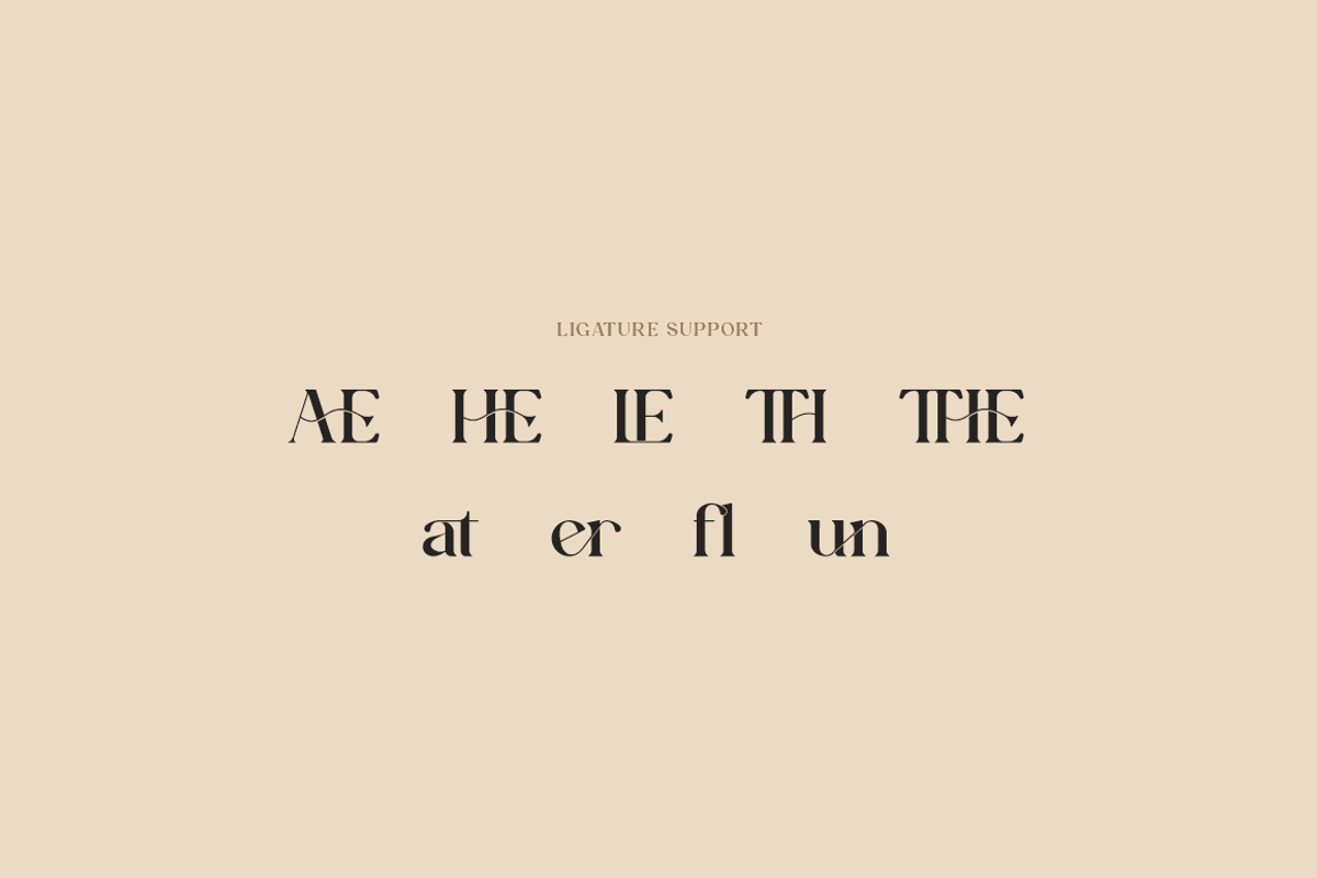 Aesthetiva - Elegant Serif Font, a Serif Font by RockboyStd (Photo 11 of 12)
