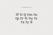 Inktype Font, a Serif Font by Burhan Afif (Thumbnail 9 of 10)