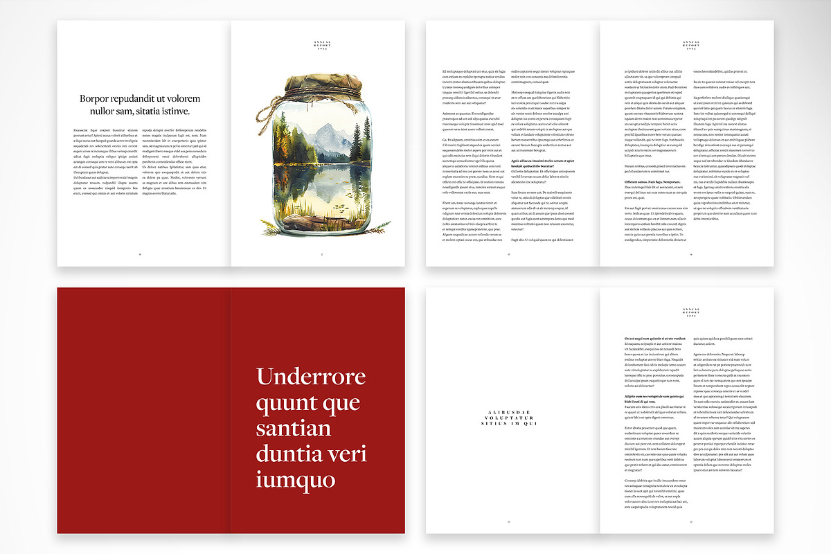 Elegant Annual Report Template, a Print Template by McLittle Stock (Photo 4 of 6)