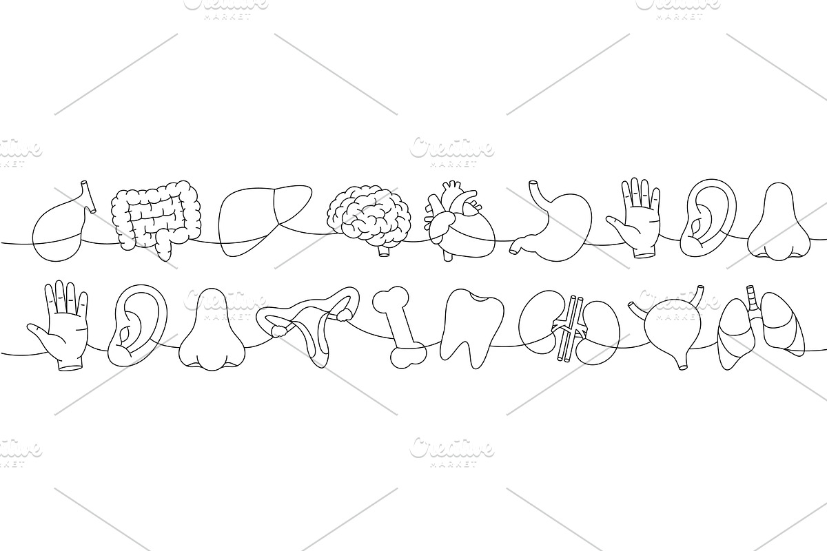 Set of organs one line continuous, a Healthcare Illustration by GraphiShop