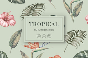 50% OFF! Tropical  jungle