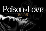 Park Wilson, a Serif Font by LetterStock (Thumbnail 6 of 8)
