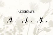 Kayla | Script Font, a Handwritten Font by Scratchones (Thumbnail 8 of 9)