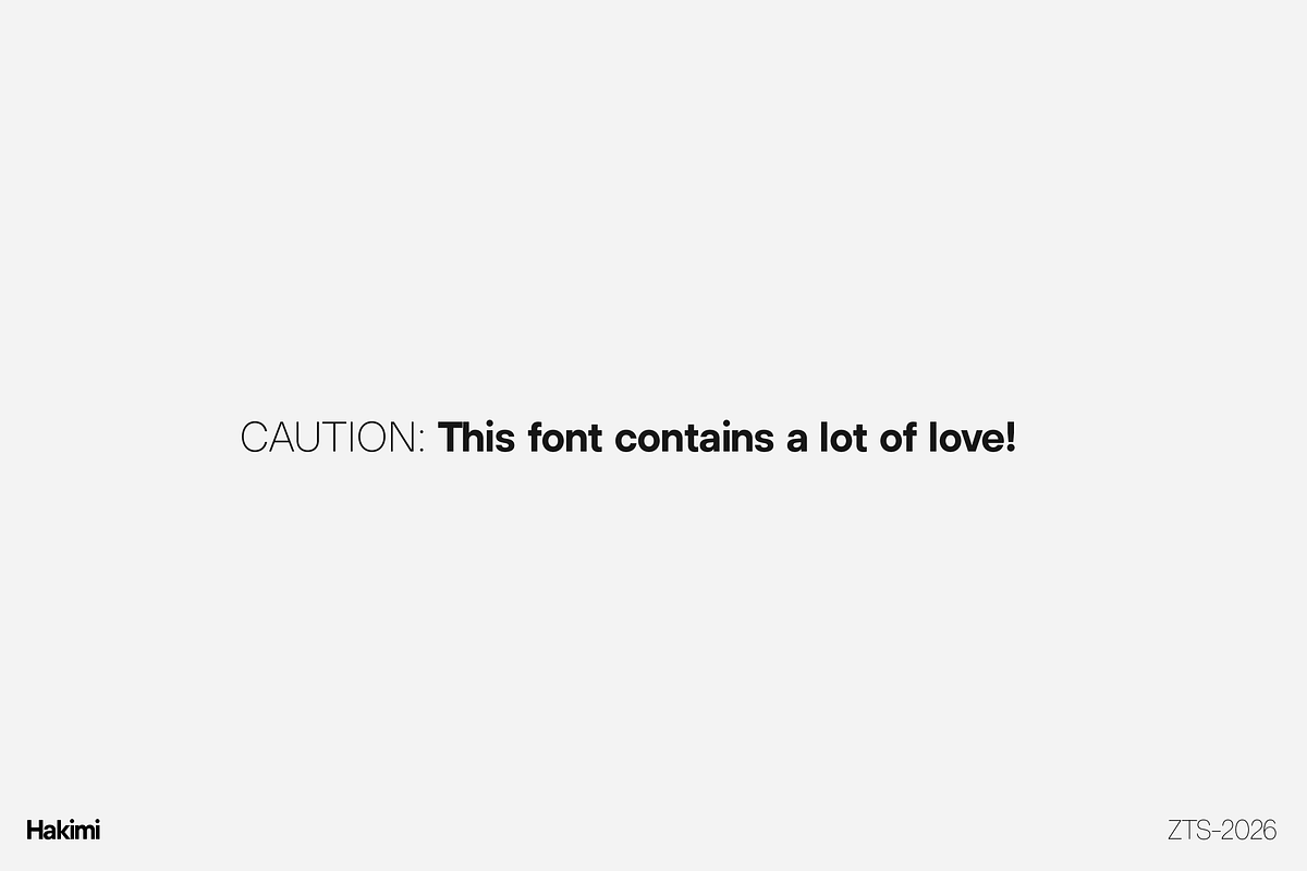 ZT Hakimi - 22 Fonts & Variable, a Sans Serif Font by zelow type (Photo 16 of 16)