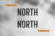 Nevis Ridge - Condensed Display Font, a Sans Serif Font by Thistle Type (Thumbnail 2 of 9)