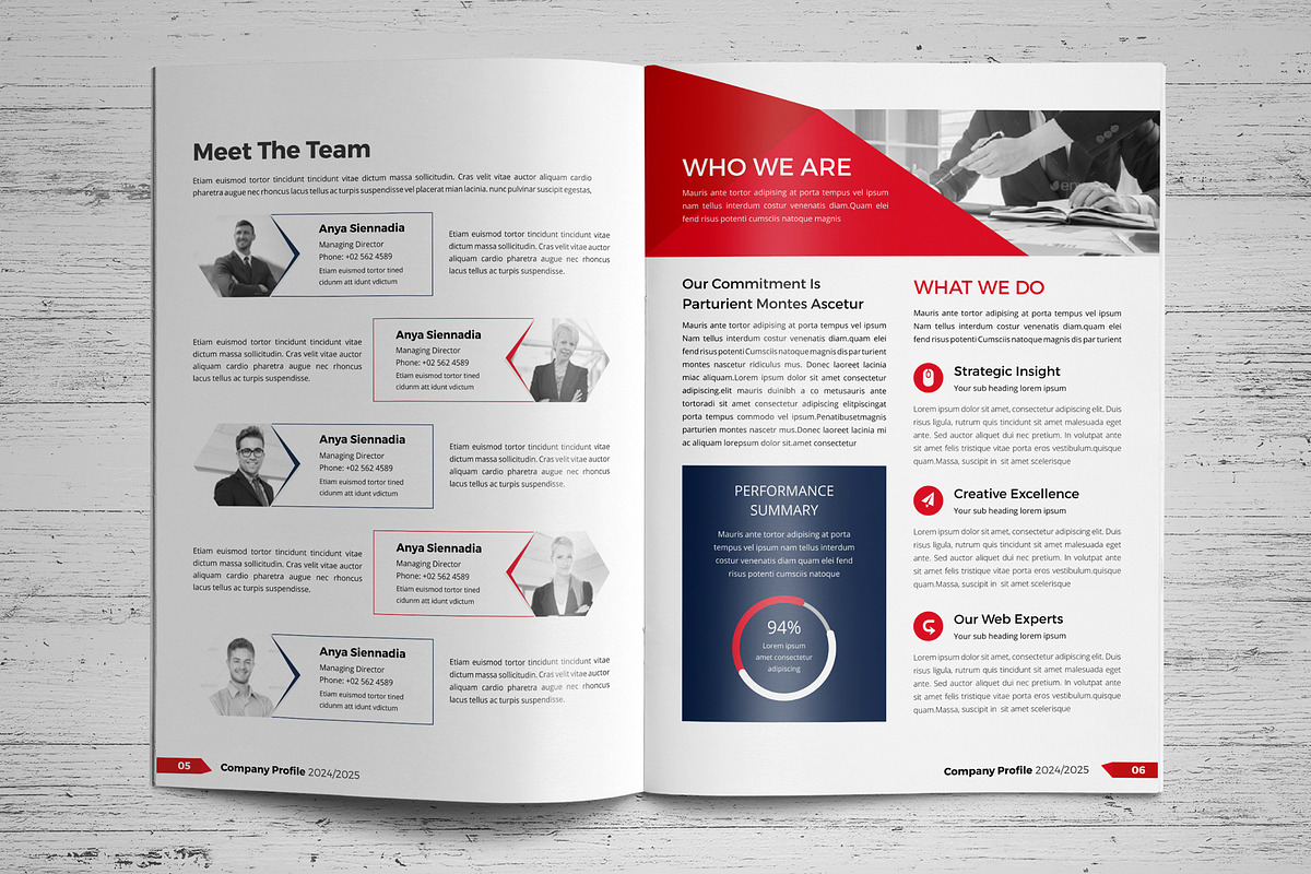 Company Profile Template V9, a Brochure Template by JanySultana (Photo 4 of 14)