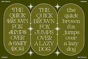 TAN - CURIOUS, a Serif Font by TanType (Thumbnail 3 of 11)