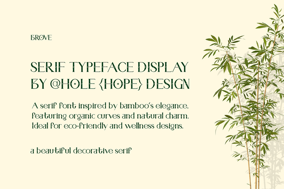 Brove | Beautiful Decorative Serif, a Serif Font by Hole Hope Design (Photo 2 of 7)
