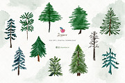 Pine Tree Clipart, Watercolor 109, an Illustration by Drawberx (Thumbnail 6 of 9)