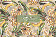 Bananas, a Decorative Illustration by Andre_Eva (Thumbnail 1 of 8)