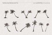Tropical Palm Tree Silhouettes, an Object Illustration by TheMountBirdStudio (Thumbnail 4 of 6)