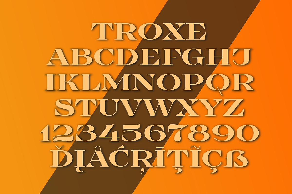 TroxeLMS, a Serif Font by glukfonts (Photo 6 of 9)