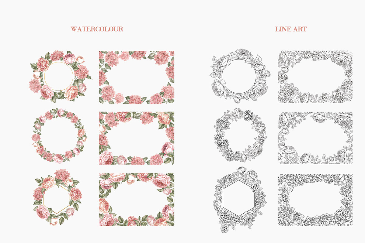 Frame roses &hydrangeas, an Illustration by Kotkoa (Photo 2 of 4)