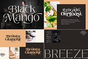 The Modern Serif Font Bundle, a Slab Serif Font by creativemedialab (Thumbnail 4 of 14)