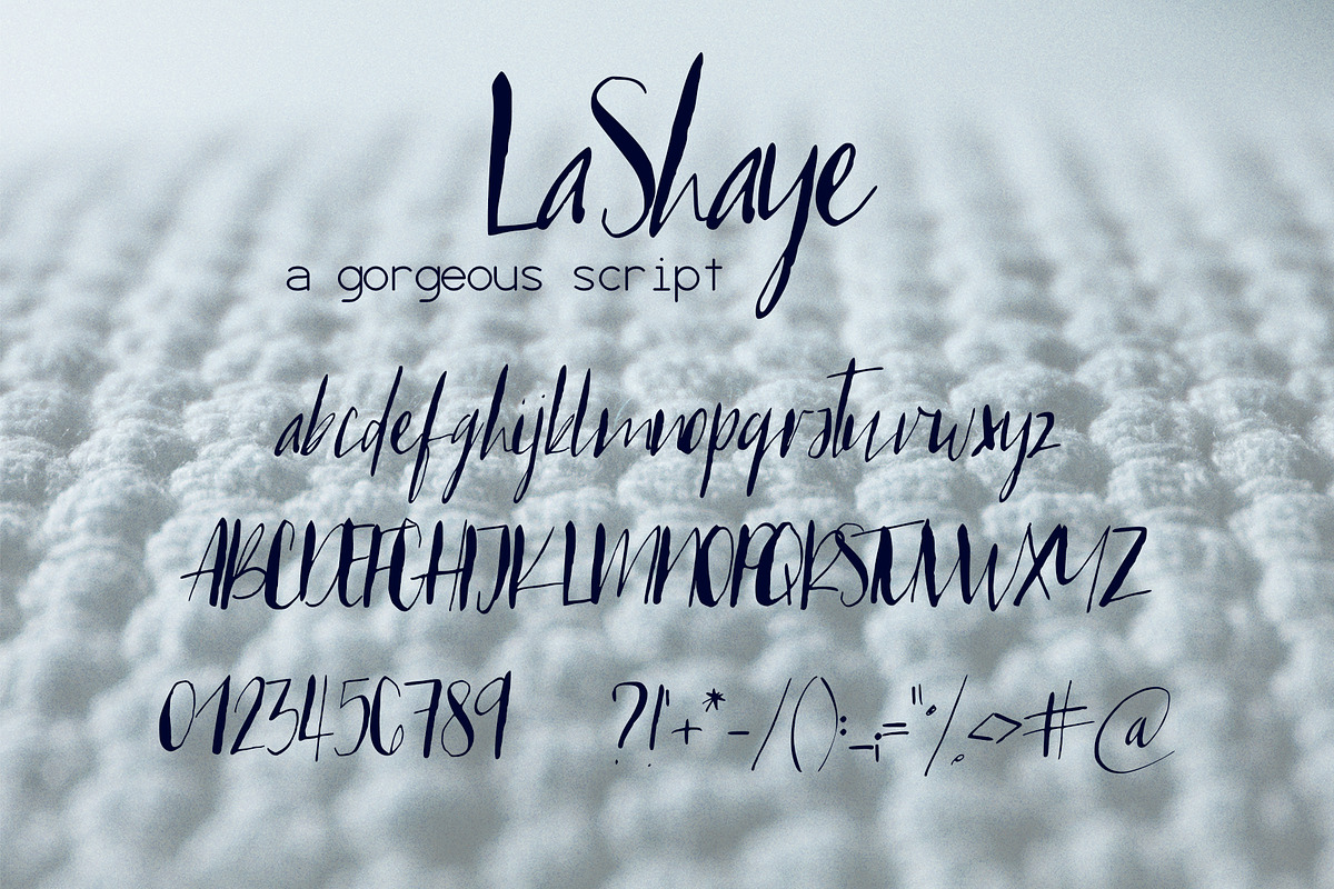 LaShaye Font, a Script Font by SophieSaxo (Photo 9 of 9)