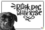 SALE CHERY RUSH: fun display!, a Font by D&K Project (Thumbnail 6 of 10)