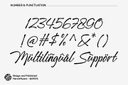 Nimbus Whale - Script Font, a Script Font by HanzelSpace Studio (Thumbnail 15 of 15)