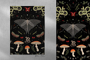 Mystical Forest. Graphic collection, a Pattern Graphic by Chikovnaya (Thumbnail 4 of 7)