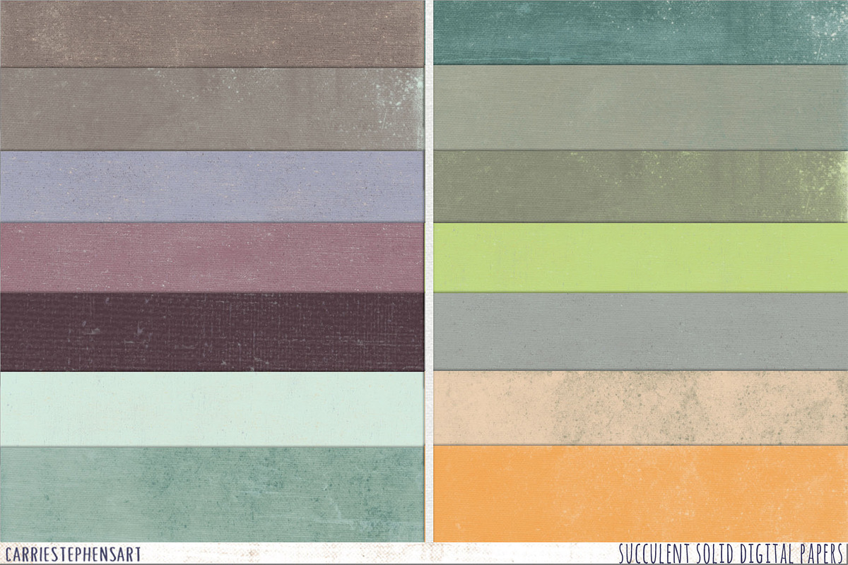 Succulent Solid Digital Backgrounds preview 5