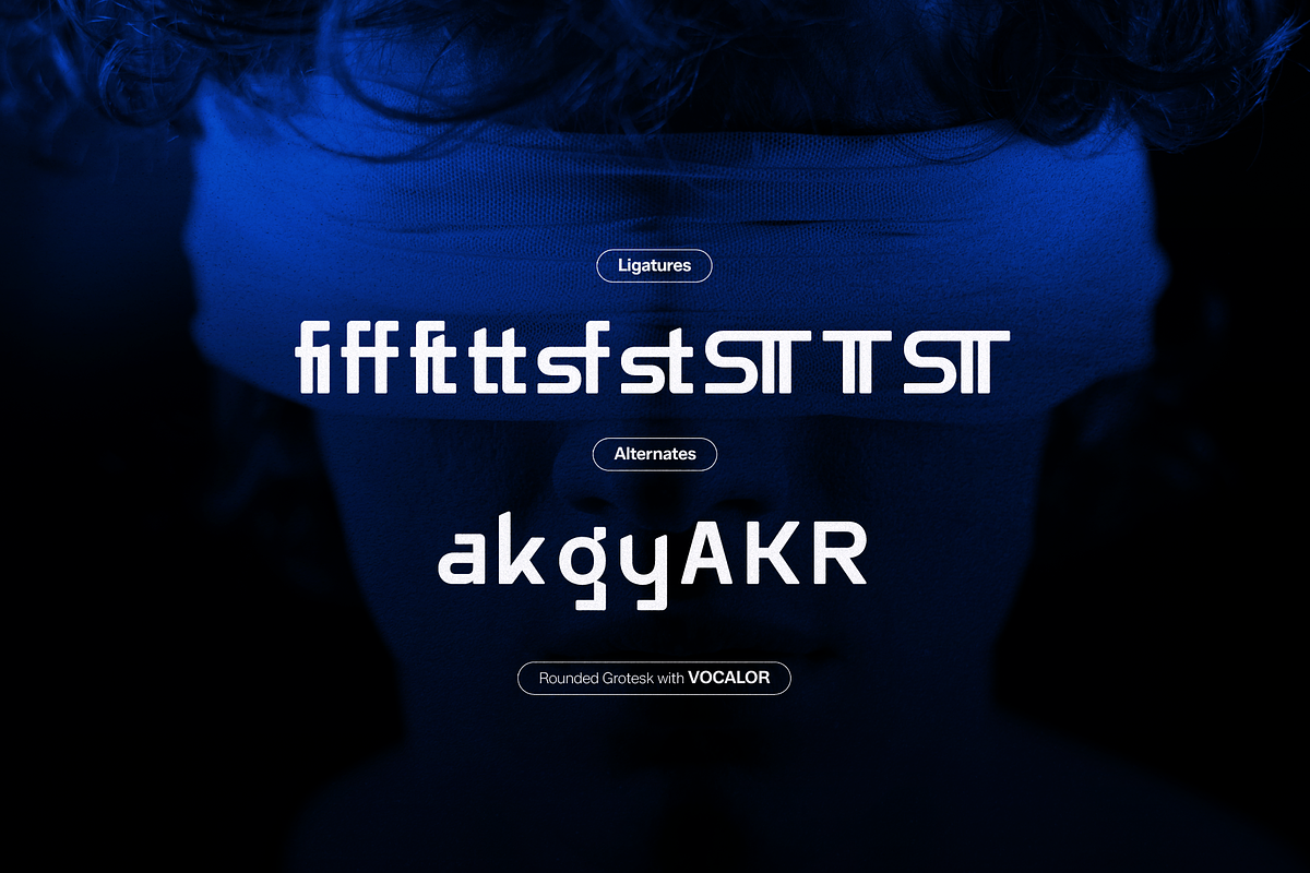 Vocalor | Rounded Grotesk, a Sans Serif Font by gracetype_studio (Photo 11 of 11)