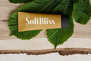 Glagiste - Modern Bold Serif Font, a Serif Font by timelesstype.co (Thumbnail 9 of 20)