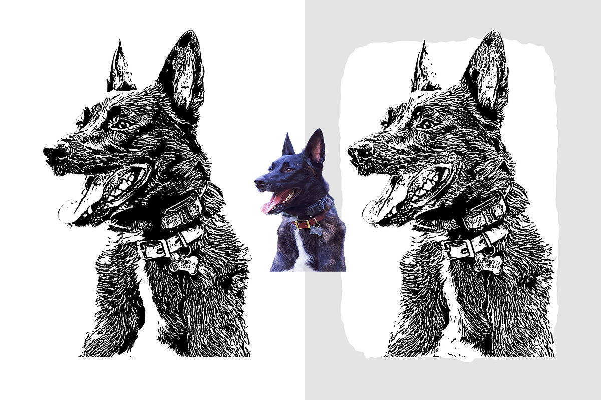 Pet Vector Trace Photoshop Effect, an Action Add-On by Shovajit (Photo 4 of 9)