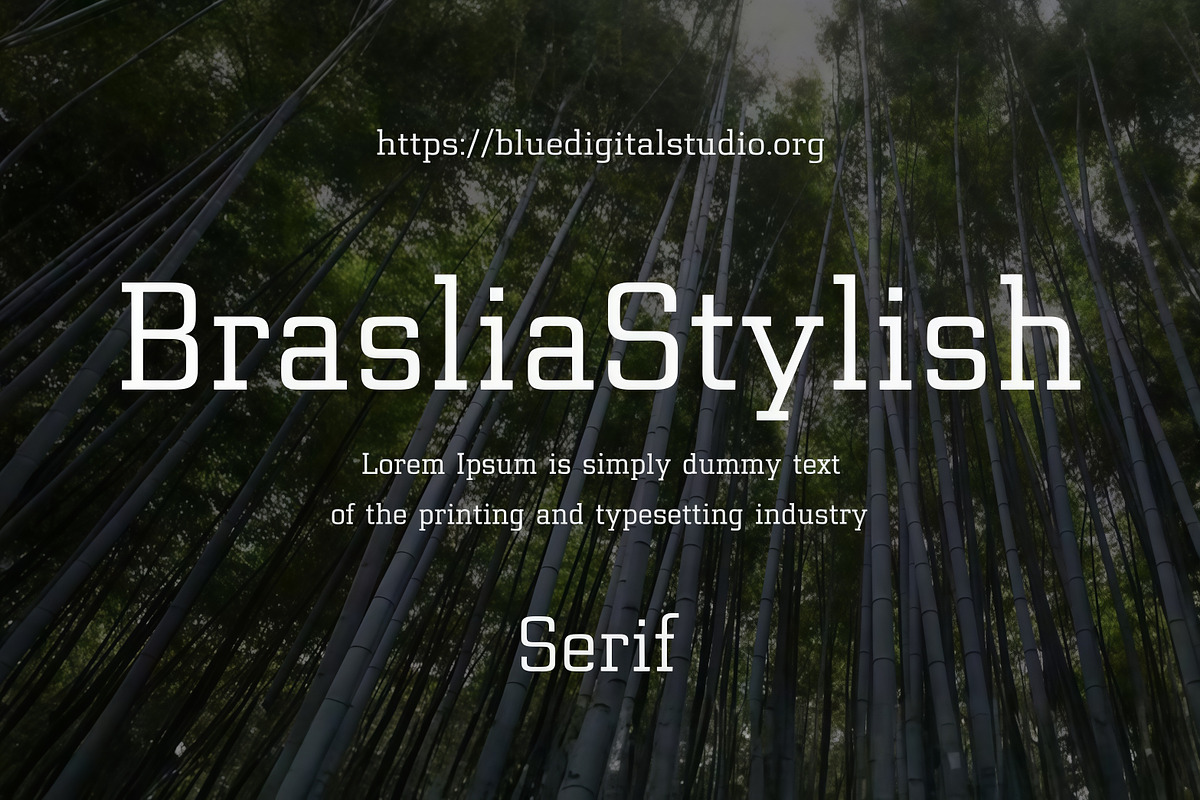 Brasilia Stylish Serif Font, a Serif Font by Blue Digital Studio (Photo 1 of 2)