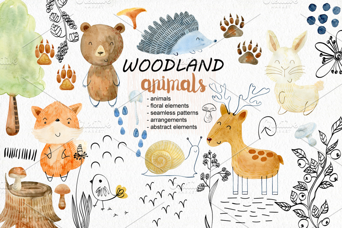 70% off. Bundle. Woodland animals., an Animal Illustration by TaPilipa (Photo 20 of 38)