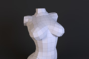 DIY Female torso 3D model template, a Presentation Template by PolyFish (Thumbnail 2 of 6)