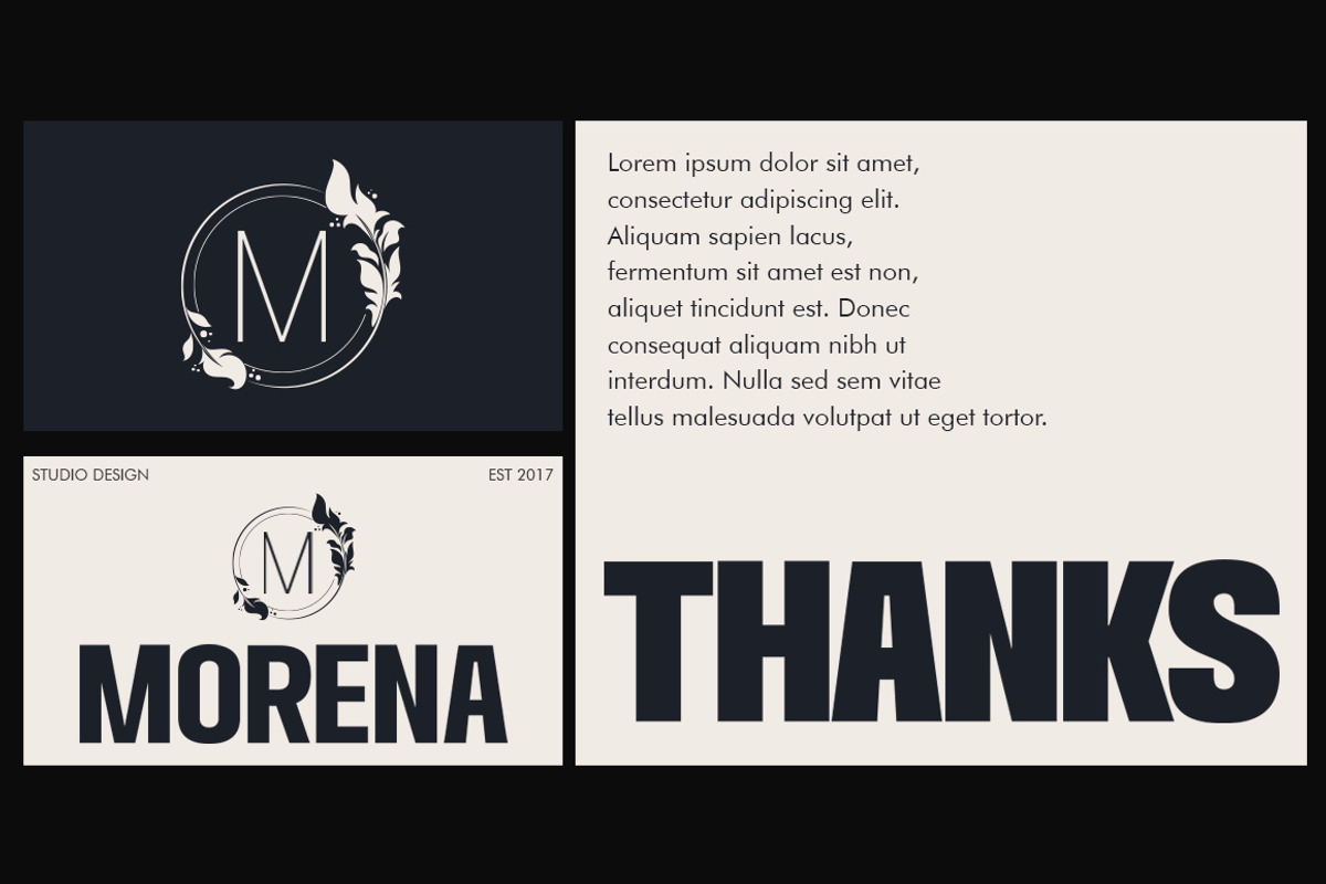 Chandler Mountain, a Sans Serif Font by Megatype (Photo 8 of 13)